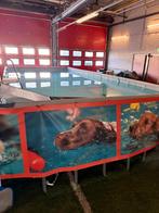 Zwembad Intex (inclusief nieuw zeil/liner), 80 tot 120 cm, 300 cm of meer, Ophalen of Verzenden, Zo goed als nieuw