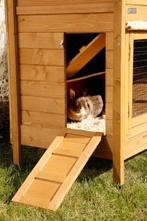 Konijnenhok Andijk | Dubbel dierenverblijf | Duurzaam, 110 cm of meer, Nieuw, Ophalen of Verzenden, 90 cm of meer