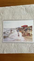 Postkaart - Strandplezier - Albert-Jan Cool, Ophalen of Verzenden, 1980 tot heden, Ongelopen, Seizoenen