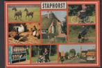 Staphorst 8 luik Paarden Fietsen  Boerderij Ongelopen, Verzenden, Ongelopen, Overijssel