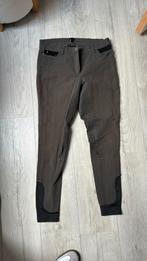 BR rijbroek bruin mt 42, Ophalen of Verzenden, Zo goed als nieuw, Dressuur, Dames