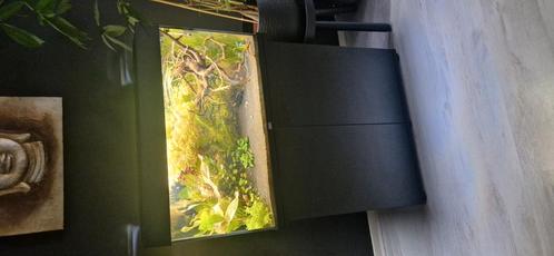 Juwel rio 125 Led, Dieren en Toebehoren, Vissen | Aquaria en Toebehoren, Zo goed als nieuw, Gevuld zoetwateraquarium, Ophalen of Verzenden