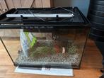 Aquarium met toebehoren, Ophalen, Gebruikt, Leeg aquarium