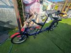 Nindo Copilot Tandem Volwassene-Kind, Ophalen, Gebruikt, Nindo