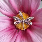 Libelle kettinghanger zilver, Overige voorstellingen, Verzenden, Cuijk, Roze