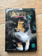 De Grote Katten Encyclopedie - Esther Verhoef, Ophalen of Verzenden, Zo goed als nieuw, Katten
