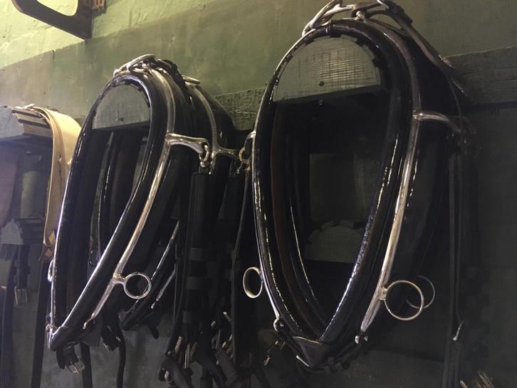 Paardentuig / twee span / Borsttuigen / Garelen, Dieren en Toebehoren, Paarden en Pony's | Hoofdstellen en Tuigage, Ophalen