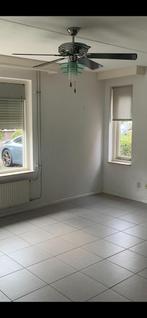 Plafondventilator met verlichting, Huis en Inrichting, Lampen | Plafondlampen, Ophalen, Gebruikt