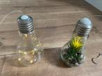 Gloeilamp met led verlichting en met kunstplantje, Ophalen of Verzenden, Zo goed als nieuw, E27 (groot), Overige typen