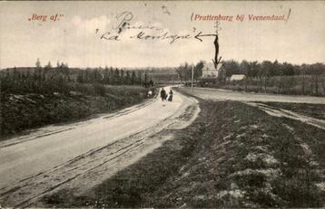 Berg af bij Prattenburg, Veenendaal beschikbaar voor biedingen
