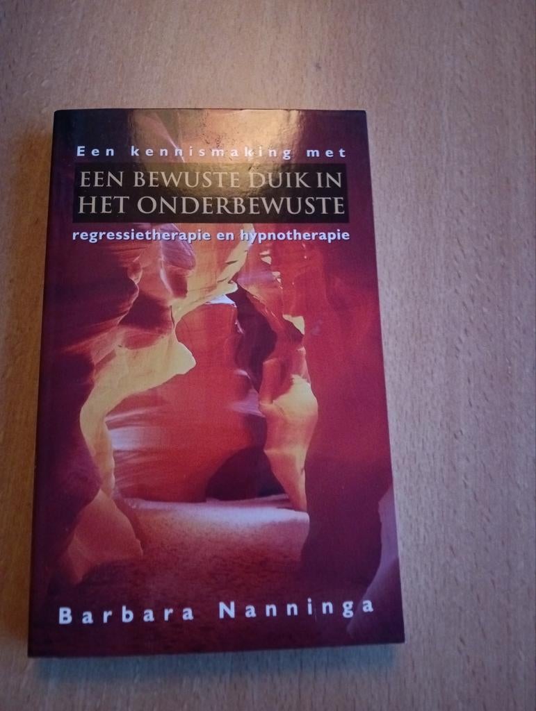 Barbera Nanninga - Een bewuste duik in het onderbewuste, B. Nanninga, Ophalen of Verzenden, Ontwikkelingspsychologie, Zo goed als nieuw