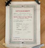 Antiek getuigschrift, Ophalen of Verzenden