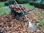 Tuin vrij maken van bladeren en eventueel rioleringswerk, Diensten en Vakmensen, Tuinmannen en Stratenmakers, Tuinonderhoud of Snoeiwerk