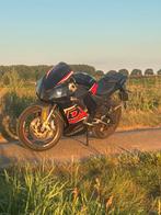 Derbi gpr 50 (77br), Fietsen en Brommers, Brommers | Derbi, Ophalen, Zo goed als nieuw