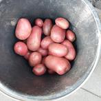 heerlijke alouette aardappels, Ophalen