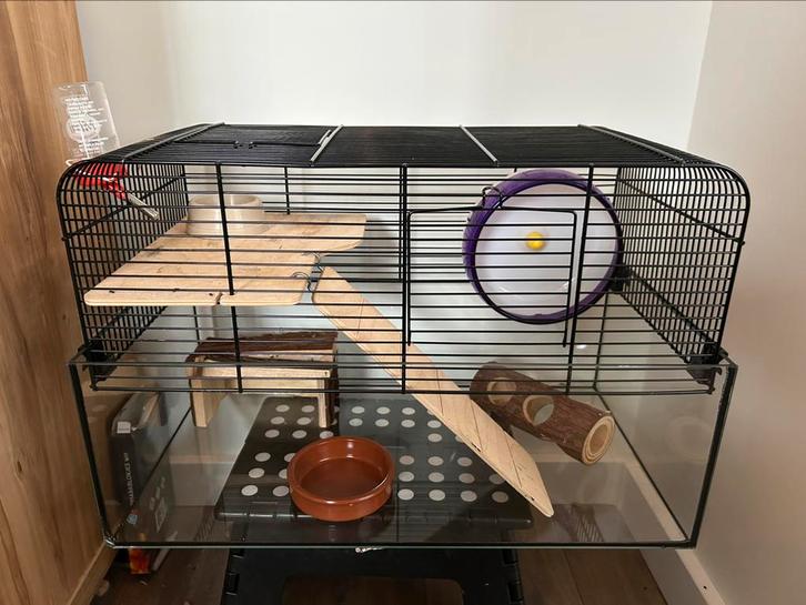 Complete hamsteruitzet!, Dieren en Toebehoren, Knaagdieren en Konijnen | Hokken en Kooien, Gebruikt, Kooi, Minder dan 60 cm, Minder dan 75 cm