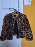 Bontjas Zara, Kleding | Dames, Jassen | Winter, Ophalen, Gedragen, Maat 34 (XS) of kleiner, Bruin