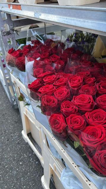 Verse Rozen, Tulpen, Chrysanten en Meer Partijen Sierbloemen beschikbaar voor biedingen