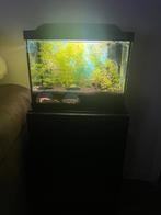 Superfish 20l ingedraaid aquarium, Dieren en Toebehoren, Vissen | Aquaria en Toebehoren, Ophalen, Zo goed als nieuw, Leeg aquarium