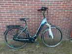 Pegasus Ravenna Evo 5 F, Ophalen of Verzenden, Zo goed als nieuw, Meer dan 20 versnellingen, Overige merken