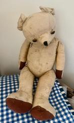 Mooie heel oude beer, Ophalen of Verzenden