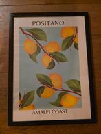 Poster citroenen in zwart lijstje, Ophalen of Verzenden, Zo goed als nieuw, A1 t/m A3