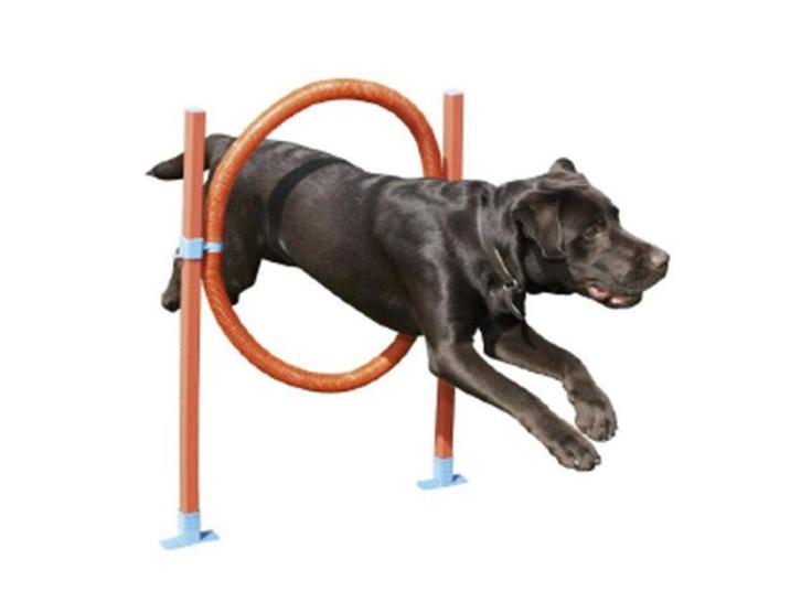 Slalom en hoepel agility, Dieren en Toebehoren, Honden-accessoires, Nieuw, Ophalen of Verzenden