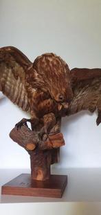 Opgezette vogel, Verzamelen, Dierenverzamelingen, Ophalen of Verzenden, Zo goed als nieuw, Vogel, Opgezet dier