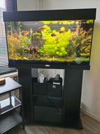 JUWEL Rio incl. onderkast LED zwart 125 L, 81x36x123 cm, Dieren en Toebehoren, Ophalen, Zo goed als nieuw, Gevuld zoetwateraquarium