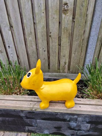 Skippy hond beschikbaar voor biedingen