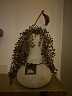 Still pot, Ophalen, Zo goed als nieuw, Aardewerk of Porselein, Minder dan 50 cm