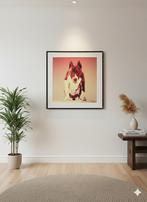 Grote vintage art-print Pitbull (100x100) in Barth lijst, Ophalen, Gebruikt, 75 tot 100 cm, Foto of Poster