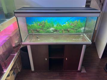 Aquatlantis 1.20 aquarium beschikbaar voor biedingen