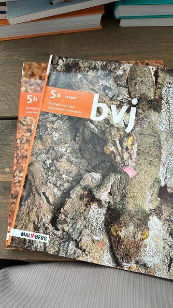 Kalverda - Hand-opdrachtenboek 5a beschikbaar voor biedingen