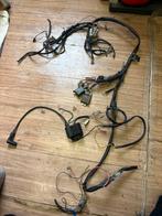 Beta Ark Kabelboom, Ophalen of Verzenden, Gebruikt, Beta