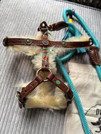 Dwam hondentuig + riem, Dieren en Toebehoren, Honden-accessoires, Ophalen of Verzenden, Nieuw