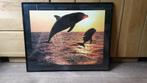 Dolfijnen in lijst, 41cmx50cm, Minder dan 50 cm, Gebruikt, Ophalen of Verzenden, Schilderij