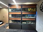 2 kweekstellingen aquarium zsm weg!, Ophalen of Verzenden, Zo goed als nieuw, Leeg aquarium