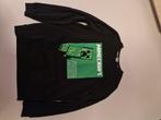 Sweater Minecraft maat 170, Kinderen en Baby's, Kinderkleding | Maat 170, Trui of Vest, Ophalen of Verzenden, Zo goed als nieuw
