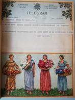 Oud Telegram Album - België, Antiek en Kunst, Ophalen of Verzenden