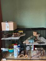 Hamsterkooi inclusief accessoires, Dieren en Toebehoren, Ophalen, Kooi, Gebruikt, 60 tot 90 cm