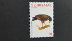 vogels 2004 Suriname, Postzegels en Munten, Postzegels | Thematische zegels, Dier of Natuur, Verzenden, Postfris
