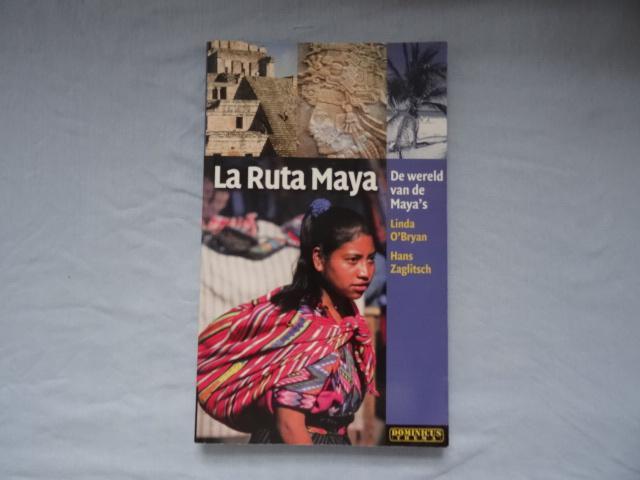 La Ruta Maya, dominicus gids/ Mexico, Yucatan, Belize, Boeken, Reisgidsen, Zo goed als nieuw, Reisgids of -boek, Europa, Overige merken