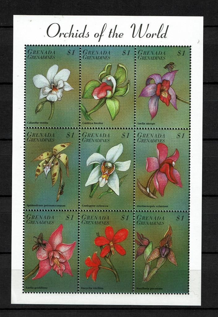 grenada 1998 pf blok orchideeën orchids bloemen flowers, Postzegels en Munten, Postzegels | Thematische zegels, Postfris, Dier of Natuur