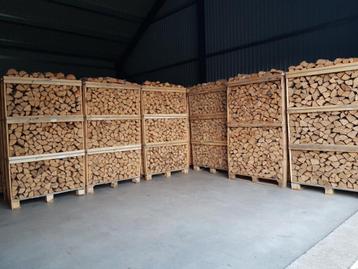 Ovengedroogd 2,14 m3 Eiken / Berk / Beuken / Walnoot / Honin beschikbaar voor biedingen