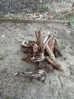 Partij kienhout voor terrarium, Ophalen of Verzenden