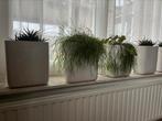 4 stuks creme bloempotten, Tuin en Terras, Bloempotten, Ophalen, Gebruikt, Rond, Minder dan 25 cm