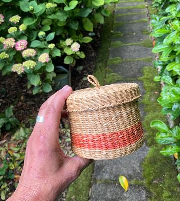 Rieten opbergmandje met deksel Rotan riet mand beschikbaar voor biedingen