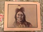 Poster van Native American Chief, Ophalen of Verzenden