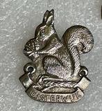 Oud speldje Eekhoorn Oisterwijk, Verzamelen, Speldjes, Pins en Buttons, Verzenden, Gebruikt, Dier of Natuur, Speldje of Pin